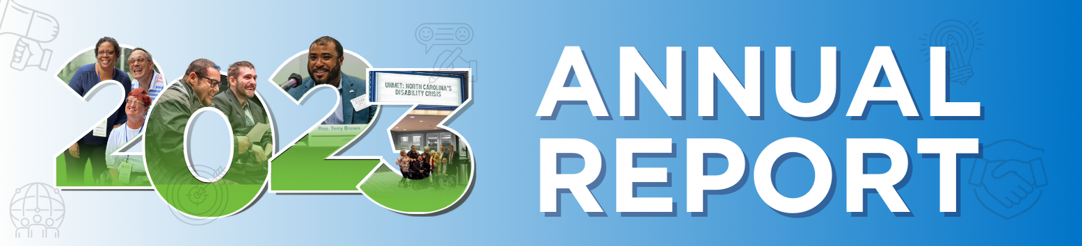 NCCDD 2020 Annual Report header NCCDD 2021 Annual Report header