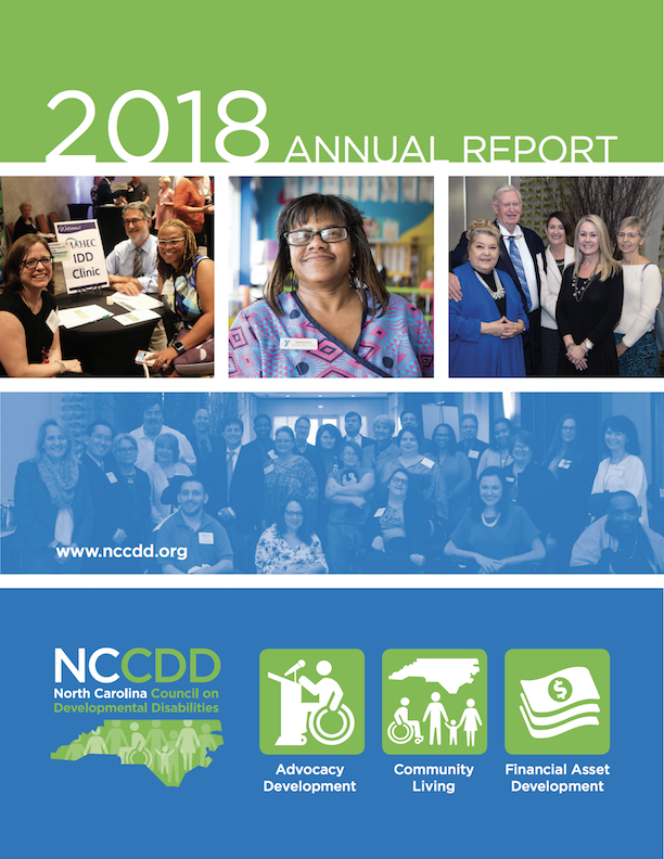 NCCDD AnnualReport Cover 2018 English