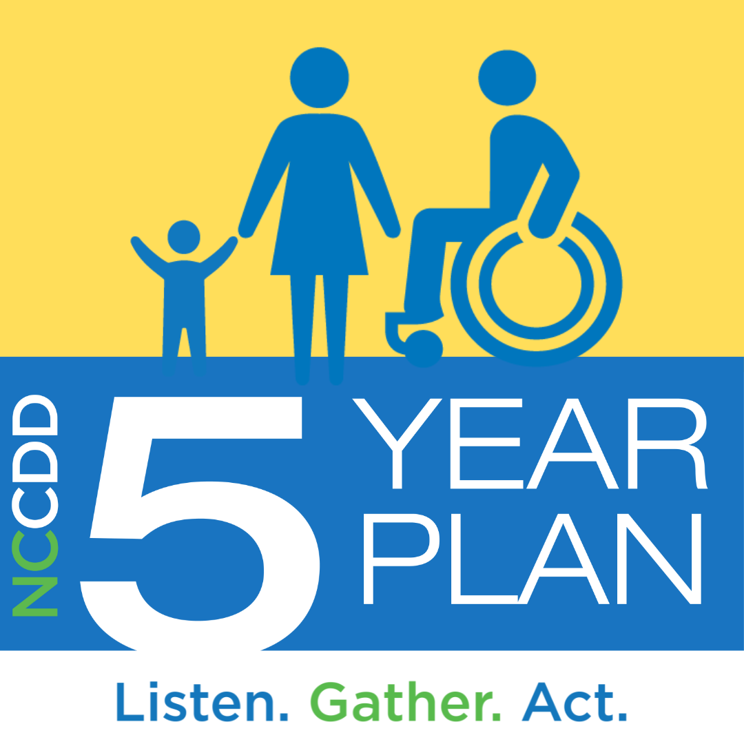 NCCDD 5 year plan graphic